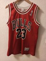 Trikot Chicago Bulls Michael Jordan aus den 1990ern, Größe M Hessen - Viernheim Vorschau