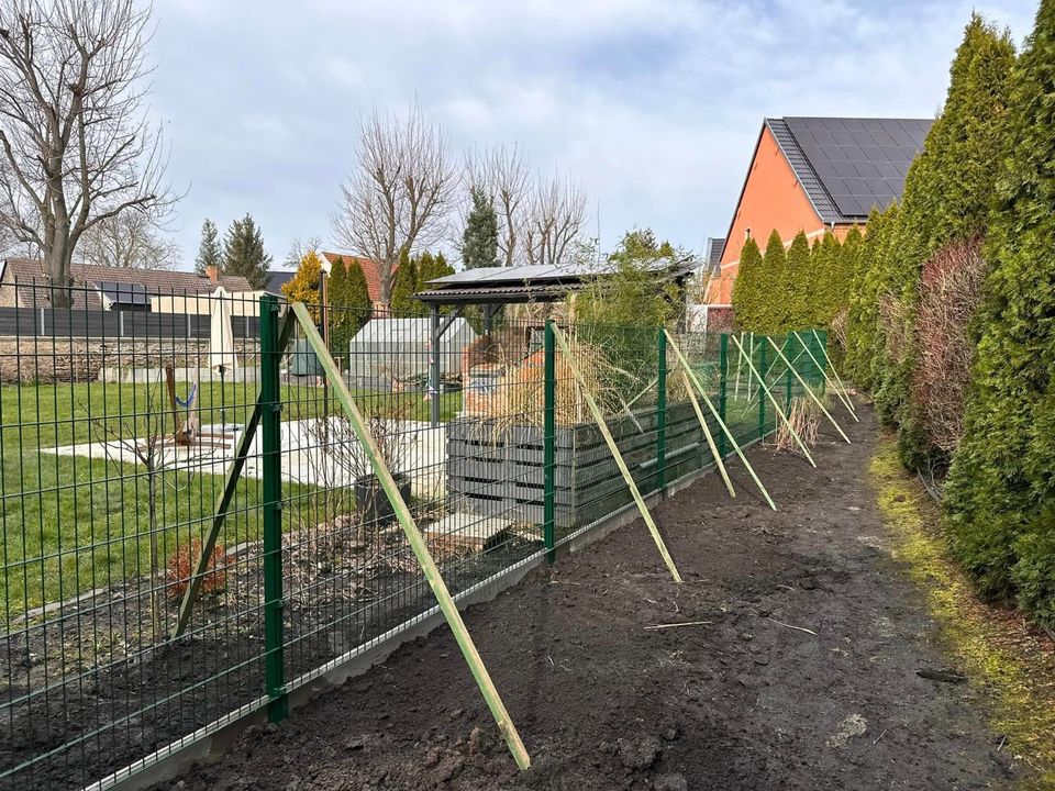 Doppelstabmatten, Doppelstabmattenzaun, Gartenzaun mit Montage! in Berlin