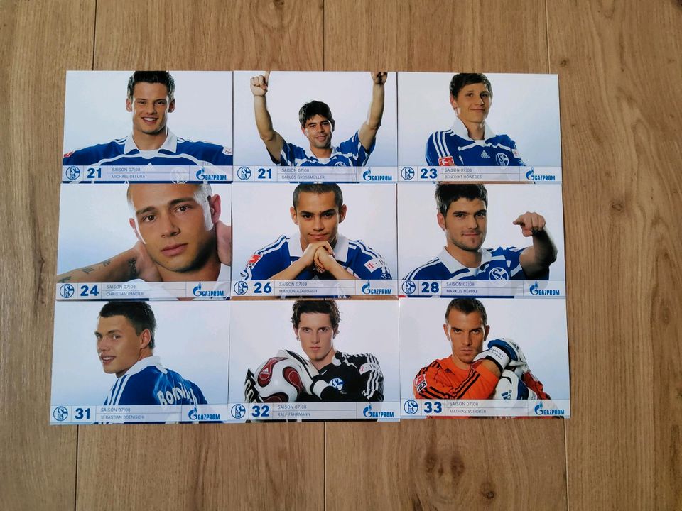 Schalke, Autogrammkarten, 33 Stück, 2007/2008, Neu in Kleinrinderfeld