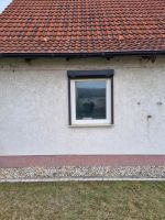 2Fenster 1m x 1,20 m inklusive Jalousie und Fliegengitter Sachsen-Anhalt - Brehna Vorschau