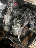 Honda Jazz II GD 1,2L L12A4 Motor Triebwerk Engine Nordrhein-Westfalen - Dorsten Vorschau