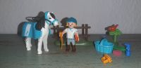 Playmobil Pony Classic Colour 70522 Schleswig-Holstein - Albersdorf Vorschau