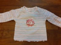 ⭐Pullover - Baby Club - Gr. 74⭐ Brandenburg - Trebbin Vorschau