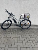 Ebike Damen von ave SH3 mit Bosch Motor Nordrhein-Westfalen - Vlotho Vorschau