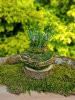 Pflanztopf Blumentopf Schale aus Rattan mit Moosrand WOHLFÜHLEN Bayern - Zapfendorf Vorschau