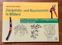 Ziergehölz- und Baumschnitt in Bildern Baden-Württemberg - Freiberg am Neckar Vorschau