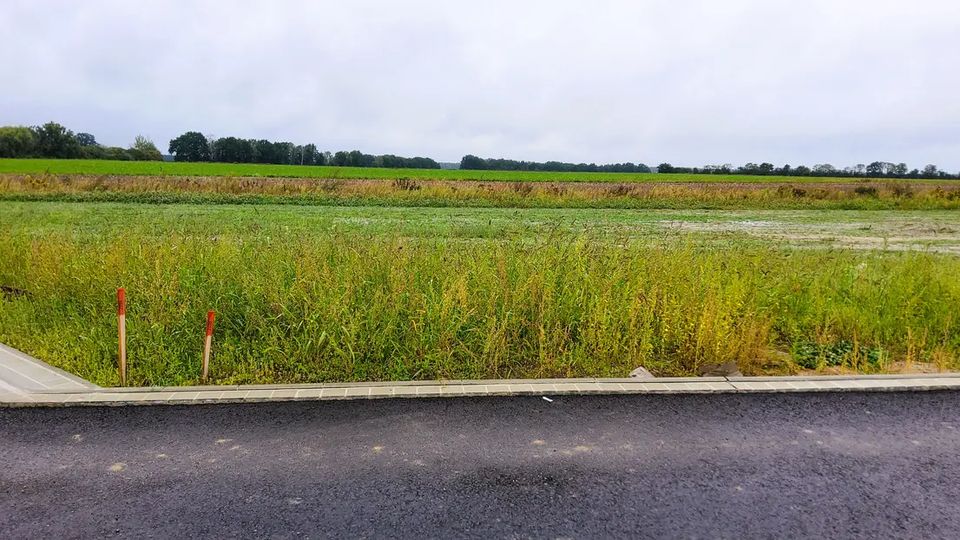 Stilvolles Wohnen mit Naturblick - Obergeschosswohnung nahe WOB & GF in Weyhausen