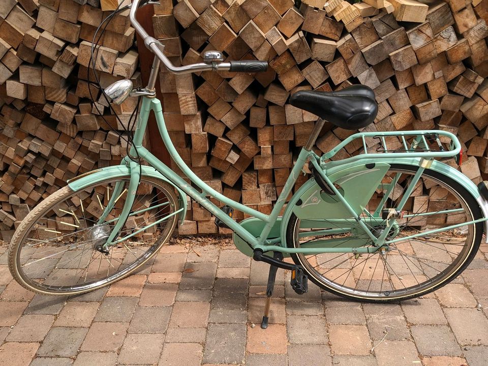 Hollandfahrrad mintfarben in Dudenhofen