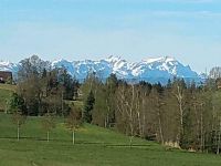 Ferienwohnung auf dem Braunvieh Hof im West- Allgäu Bayern - Opfenbach Vorschau