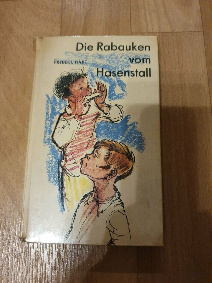 Kinderbuch DDR Friedel Hart Die Rabauken vom Hasenstall in Halle