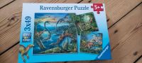 3 Puzzle von Ravensburger - Dinosaurier Berlin - Tempelhof Vorschau