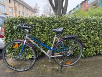 Fahrrad Damenrad leicht Münster (Westfalen) - Centrum Vorschau