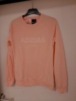 Pullover adidas Bayern - Mettenheim Vorschau