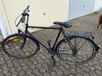 Trekkingrad Fahrrad zu verkaufen Nordrhein-Westfalen - Bornheim Vorschau