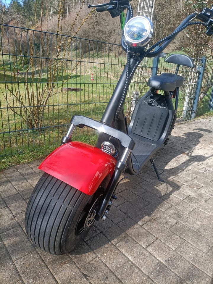 Elektro Scooter in Nagold