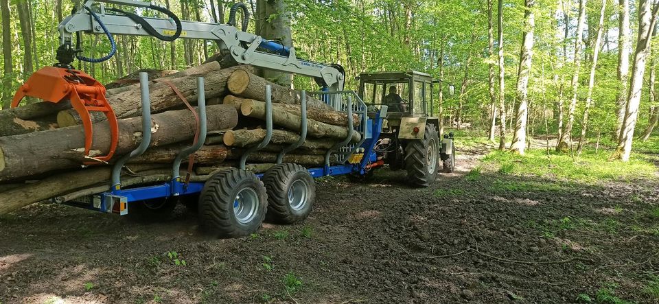 KAMINHOLZ TROCKEN / OFENFERTIGES BRENNHOLZ technisch getrocknet, in Gnoien