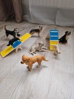 Hundeplatz Schleich Hannover - Ahlem-Badenstedt-Davenstedt Vorschau