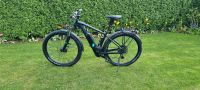 Cube E-Bike Mountainbike Hybrid Pro 500 Schleswig-Holstein - Schleswig Vorschau