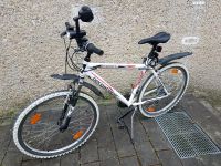 Fahrrad Bergsteiger Clenver Bayern - Hemau Vorschau