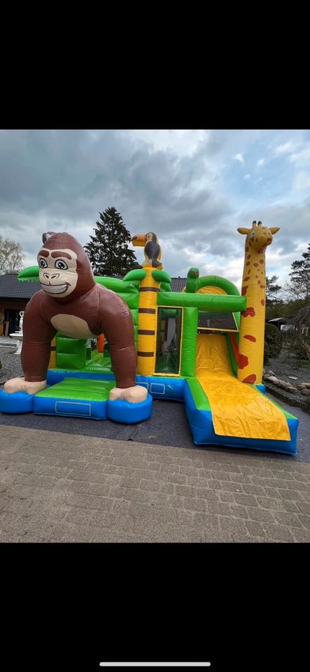 Hüpfburg Monkey Donkey zu vermieten in Mölln