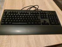 Tastatur Maus G213 Nordrhein-Westfalen - Bottrop Vorschau