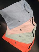 hollister Tshirt Herren Bayern - Küps Vorschau