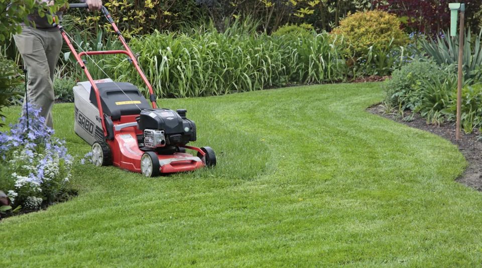 Gartenarbeiten: Rasen mähen in Bad Harzburg