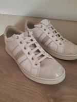 Damen Sneaker Geox Gr. 40 Sachsen - Delitzsch Vorschau