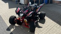 AEON Cobra 400cc Nordrhein-Westfalen - Warburg Vorschau