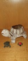 Verkaufe 3 schöne Schildkröten aus Steindekor. Bayern - Schöllkrippen Vorschau