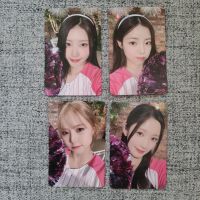 Purple kiss POBs K-pop photocard Leipzig - Leipzig, Zentrum Vorschau