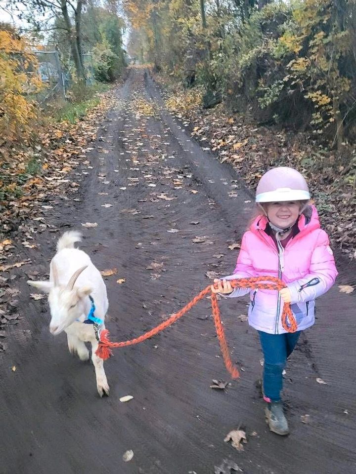 Eselreiten/Abenteuer in den Pfingstferien in Saulheim