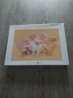 Puzzle Anne Geddes 900 Teile NEU Bayern - Luhe-Wildenau Vorschau