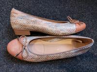 Ballerina Ara NEU croco Optik Gr 6 Baden-Württemberg - Walldürn Vorschau