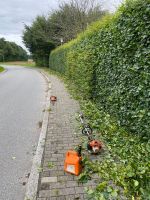 Gartenpflege Heckenschnitt Beetpflege Unkraut entfernen Kiel Kiel - Ellerbek-Wellingdorf Vorschau