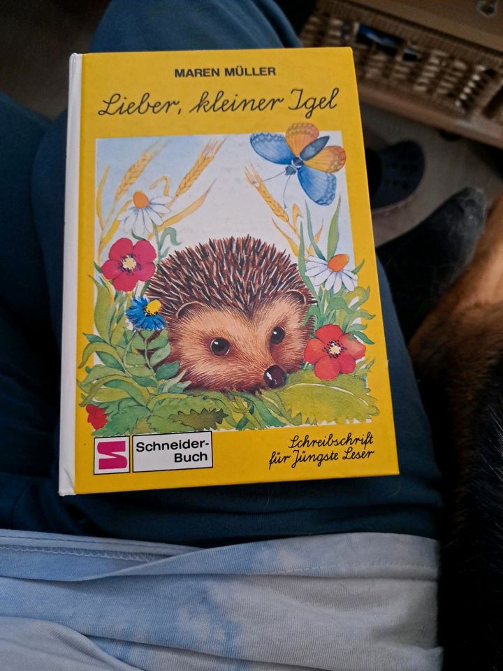 Buch Lieber, kleiner Igel in Eppstein