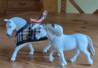 Schleich Pferde Reiter und Zubehör Niedersachsen - Bad Harzburg Vorschau