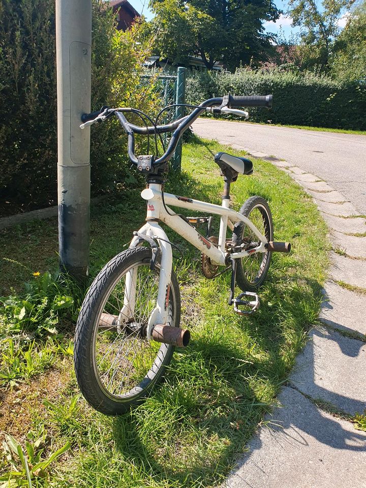 BMX Fahrrad in Kaufering
