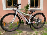 Kinder Fahrrad Lakes Flexx 100 sehr guter Zustand, 26 Zoll Rheinland-Pfalz - Matzenbach Vorschau