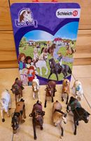 Schleich Horse Club mit 10 Pferden Barleben - Ebendorf Vorschau