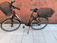 Damen Fahrrad 28" Pagasus Niedersachsen - Westerholt Vorschau