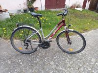 Fahrrad Diamant Ubari 28" weinrot Baden-Württemberg - Überlingen Vorschau