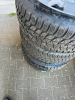 BMW 17 Zoll Felgen und Reifen Nordrhein-Westfalen - Detmold Vorschau