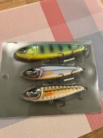 Jerkbait Set 12,5-15cm Leipzig - Eutritzsch Vorschau