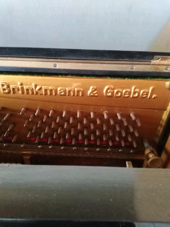 Musikinstrument in Gierschnach