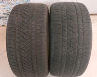 2x 305 / 40 R20 112V Pirelli Winterreifen Stuttgart - Vaihingen Vorschau