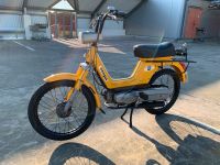 Piaggio Vespa Boxer Mofa (Piaggio Ciao) Hessen - Schwalmstadt Vorschau