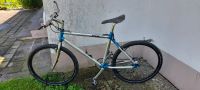 MTB TITANAL Fahrrad 26 Zoll 21-G DEORE XT Bayern - Freystadt Vorschau