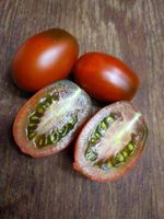 Tomate Black Plum Bio Tomatensamen - süß-aromatische Salattomate München - Altstadt-Lehel Vorschau