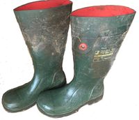 Suche Stallstiefel Purofort FieldPro Bayern - Bayreuth Vorschau